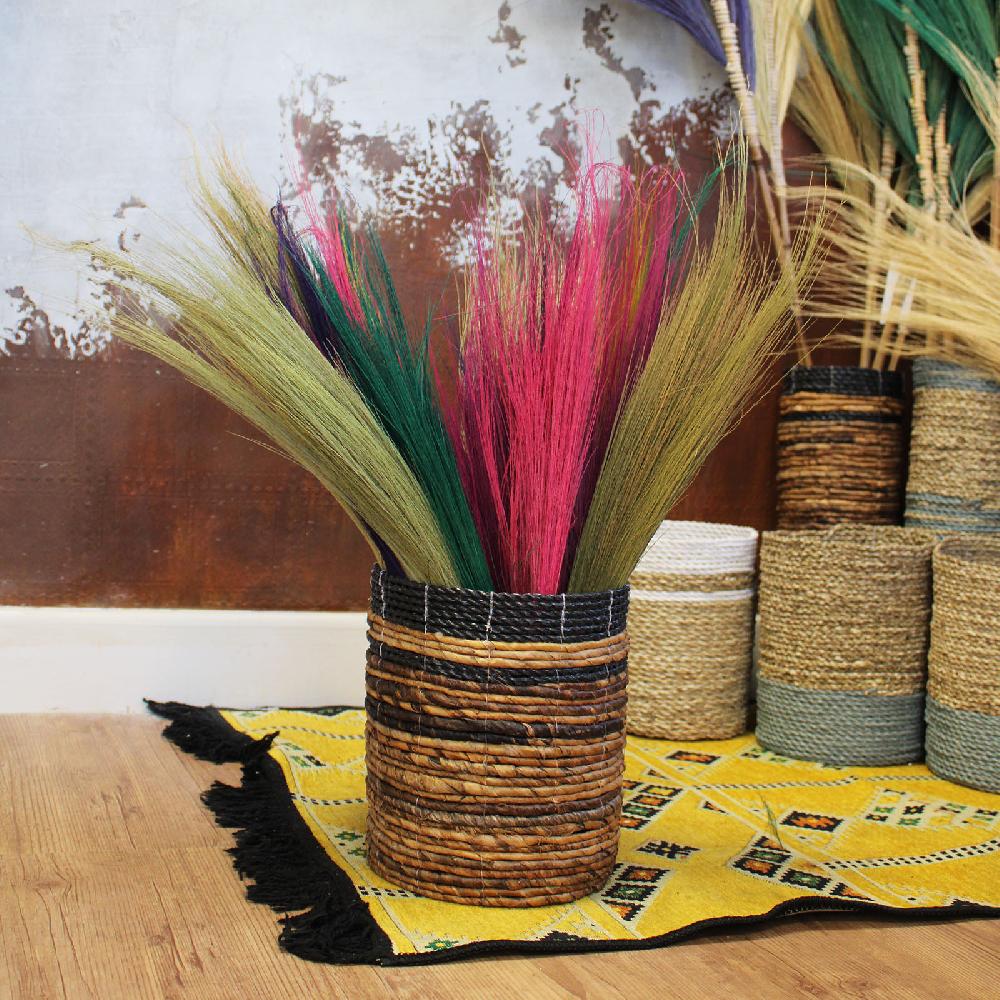 Ancient Wisdom Set 4 - Pampas Long Broom - Vivid Colours