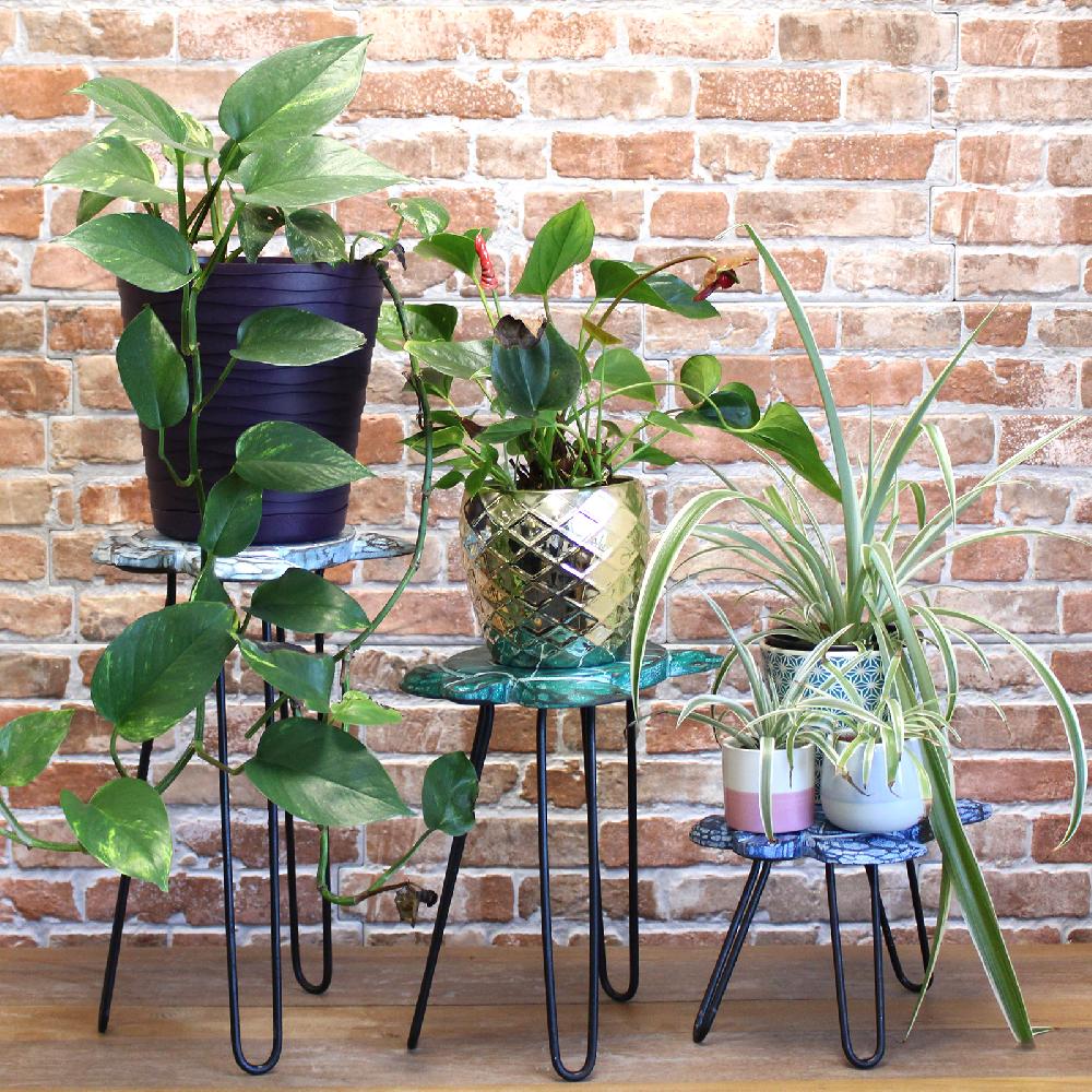 Ancient Wisdom Set Of 3 Albasia Wood Plant Stands - Turtles