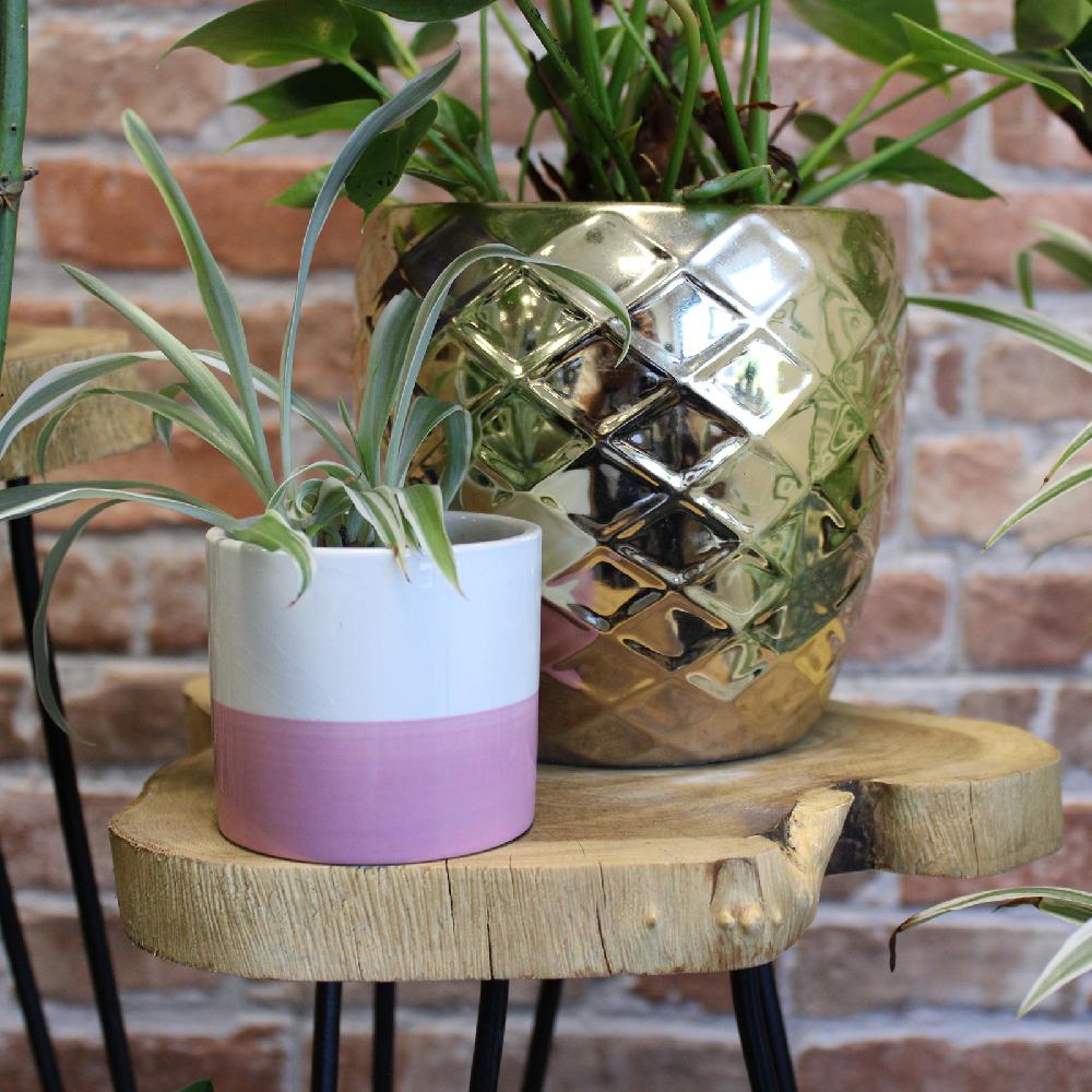 Ancient Wisdom Set Of 3 Gamal Wood Plant Stands - Natural