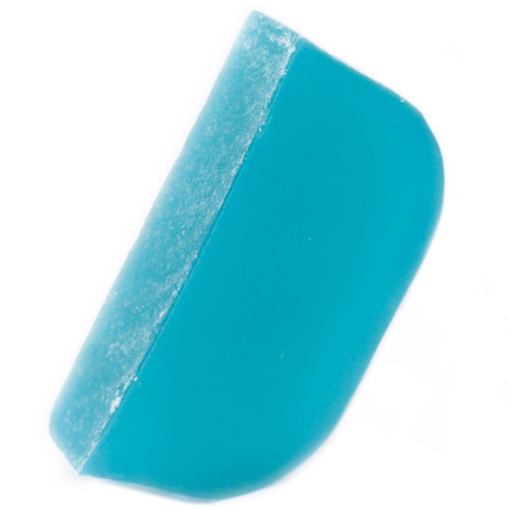 ancient wisdom Tea Tree & Peppermint - Argan Solid Shampoo
