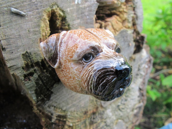 And Mary Border Terrier Doorknob