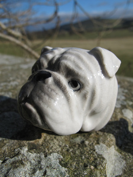 And Mary Bulldog Head Doorknob