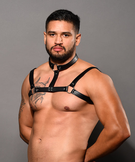 Andrew Christian Choker Harness