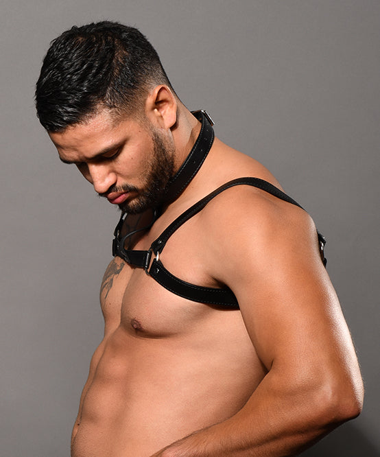 Andrew Christian Choker Harness