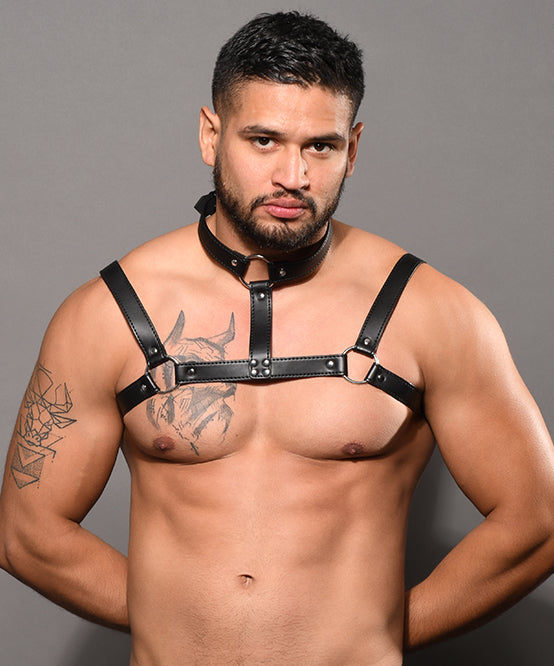 Andrew Christian Choker Harness