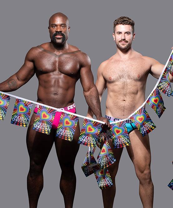 andrew christian Pride Hearts String Banner