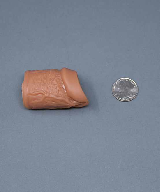 Andrew Christian TROPHY BOY® Faux Foreskin