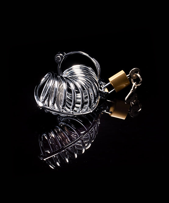 andrew christian TROPHY BOY® Chrome Ring Cock Cage (Medium/Large)