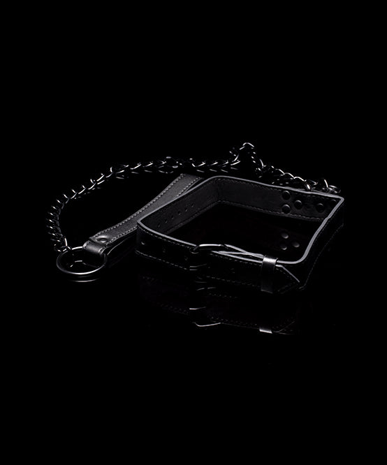 Andrew Christian TROPHY BOY® Puppy Collar And Leash