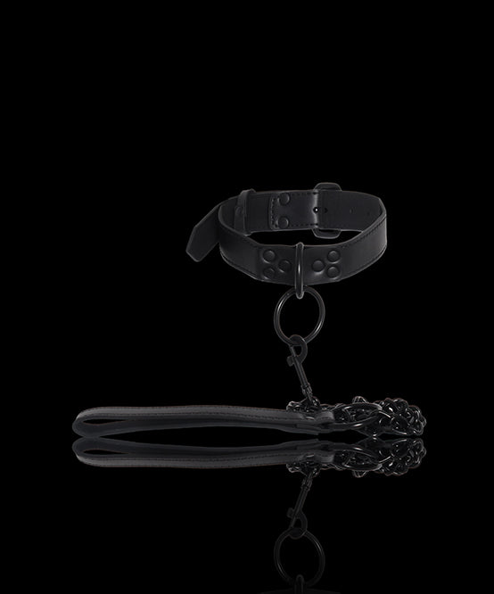 andrew christian TROPHY BOY® Puppy Collar and Leash