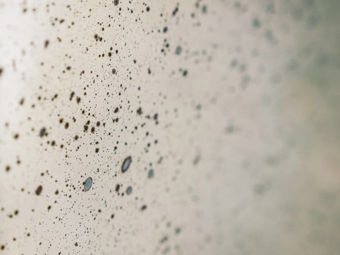 Andrew Martin Aged Silver Convex Mirror