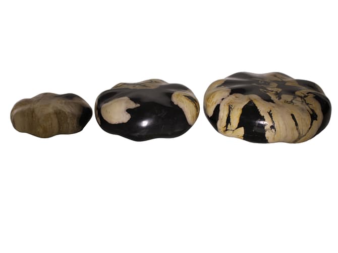 Andrew Martin Petrified Wood Decorative Stone Set