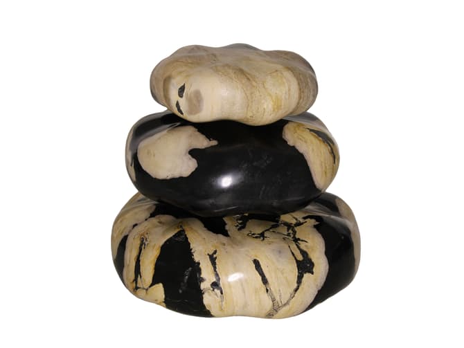Andrew Martin Petrified Wood Decorative Stone Set