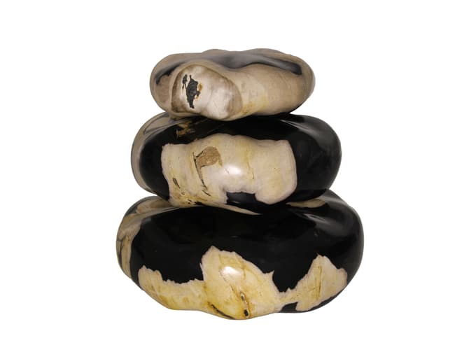 andrew martin Petrified wood decorative stone set