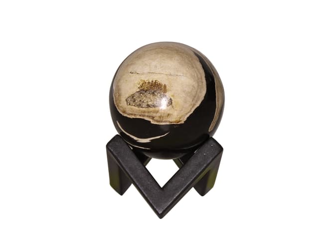 andrew martin Petrified wood decorative sphere on geometric metal stand