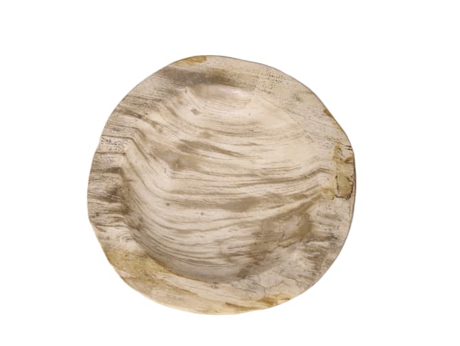 Andrew Martin Petrified Wood Decorative Tray In Natural Tones