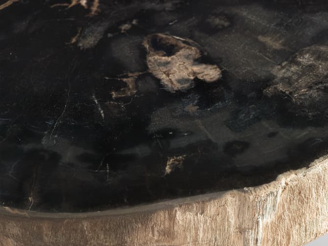 Andrew Martin Petrified Wood Side Table With Brass Legs