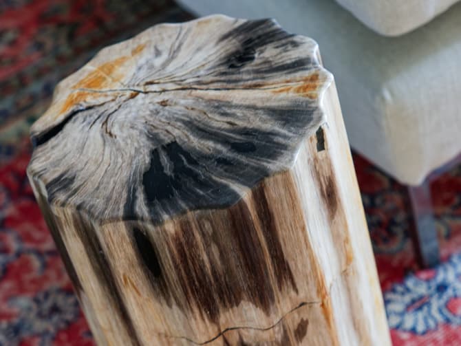 Andrew Martin Scallop Edge Petrified Wood Side Table Or Stool