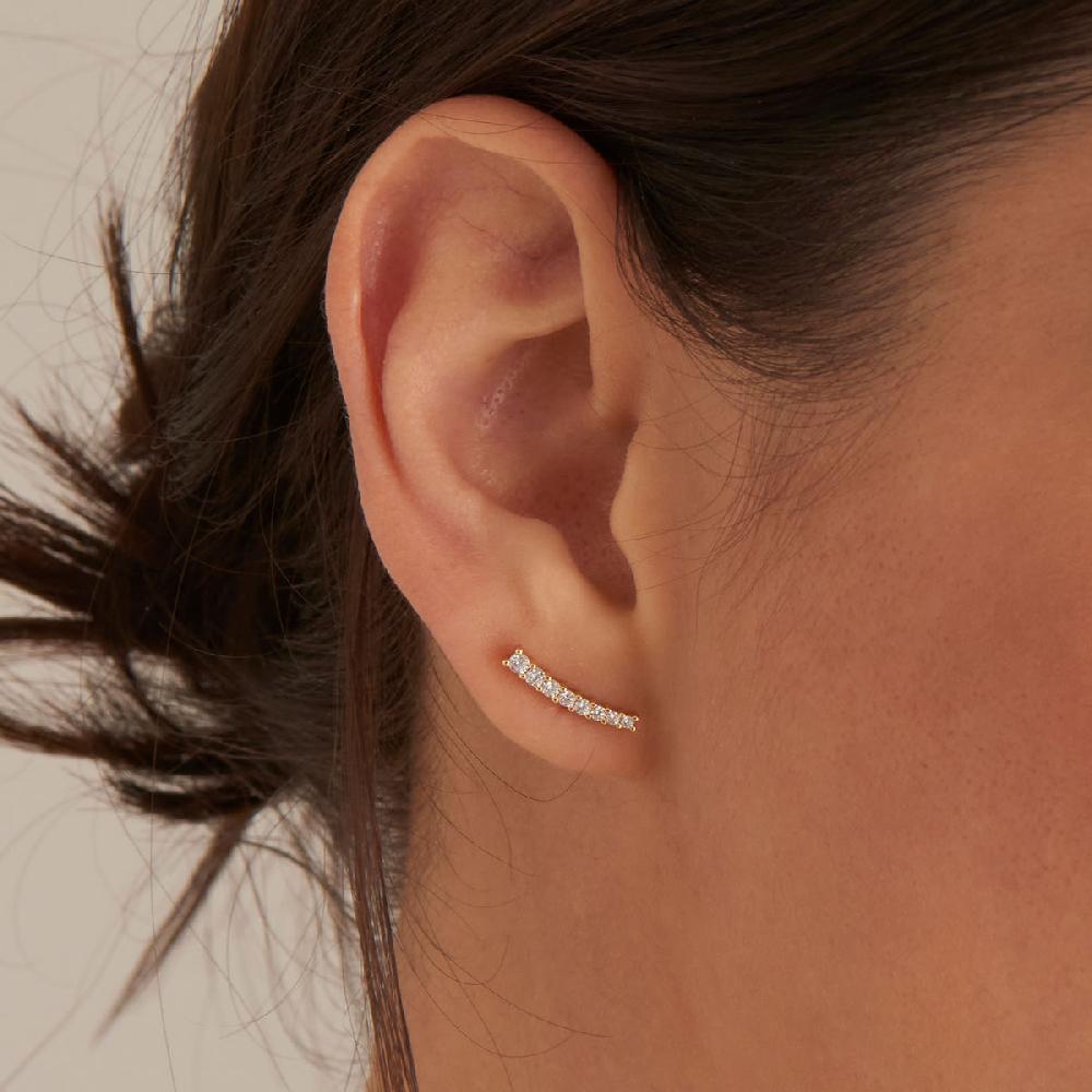 Ania Haie Silver Glam Crawler Stud Earrings