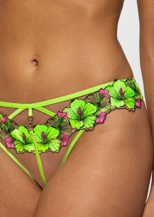 Ann Summers Caged Hibiscus Brazilian Lime