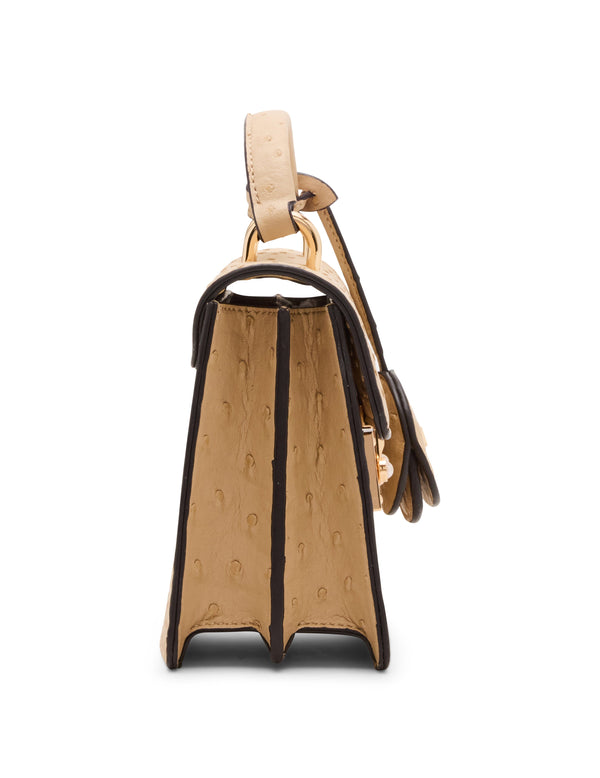 Anne Klein Pushlock Top Handle With Detachable Strap Brush