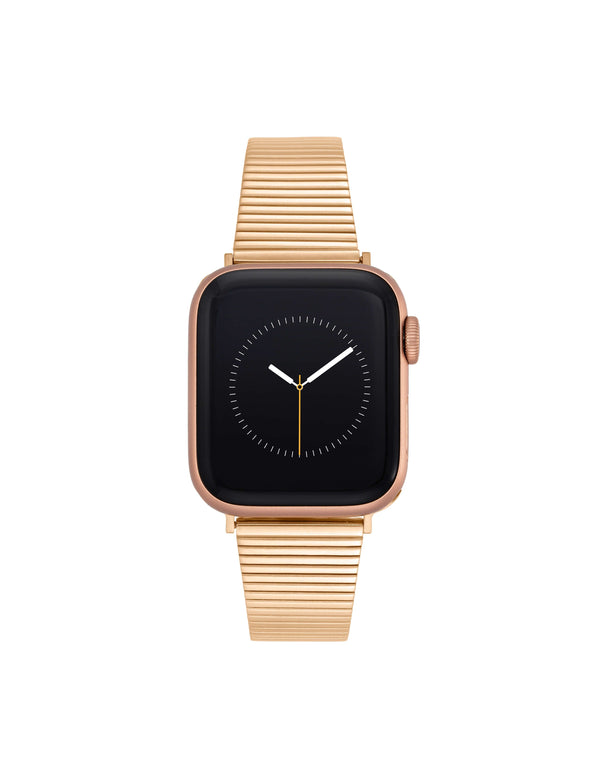 Anne Klein Stainless Steel Band With Protective Case Bundle