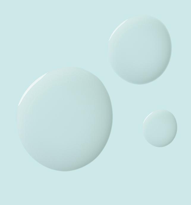 Anne Moller REVITALIZING WATER TONER