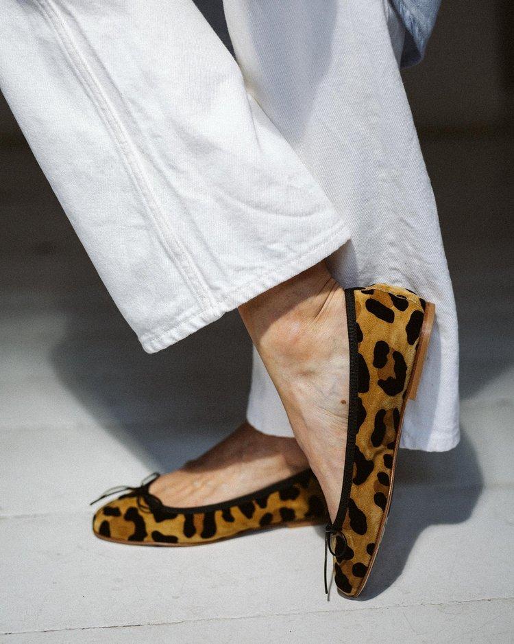 anniel classic CAMEL