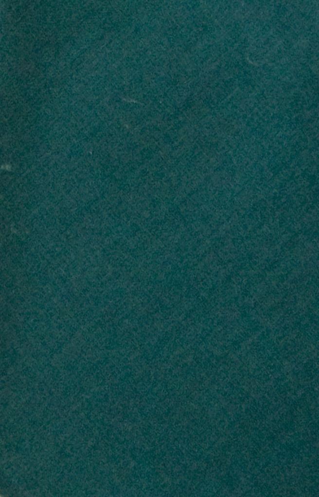 anokhi Scarf in Spruce