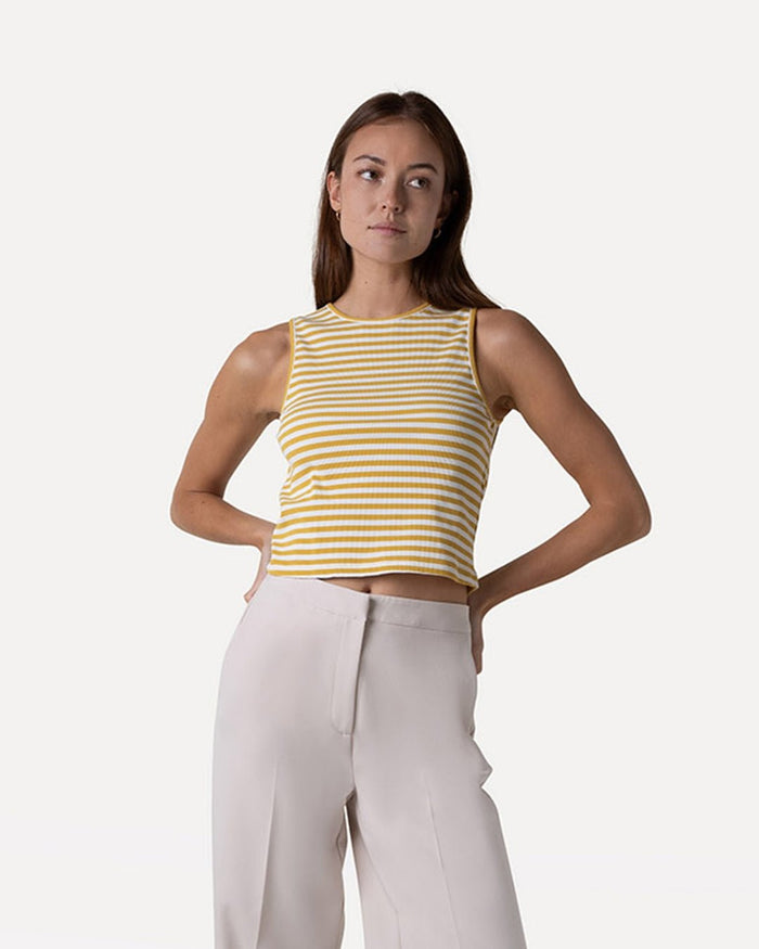 another label Abelia top Bright gold stripe