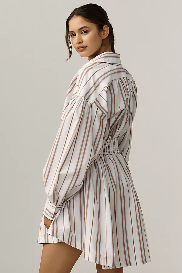 Anthropologie By Anthropologie Long-Sleeve Collared A-Line Mini Dress NEUTRAL STRIPE
