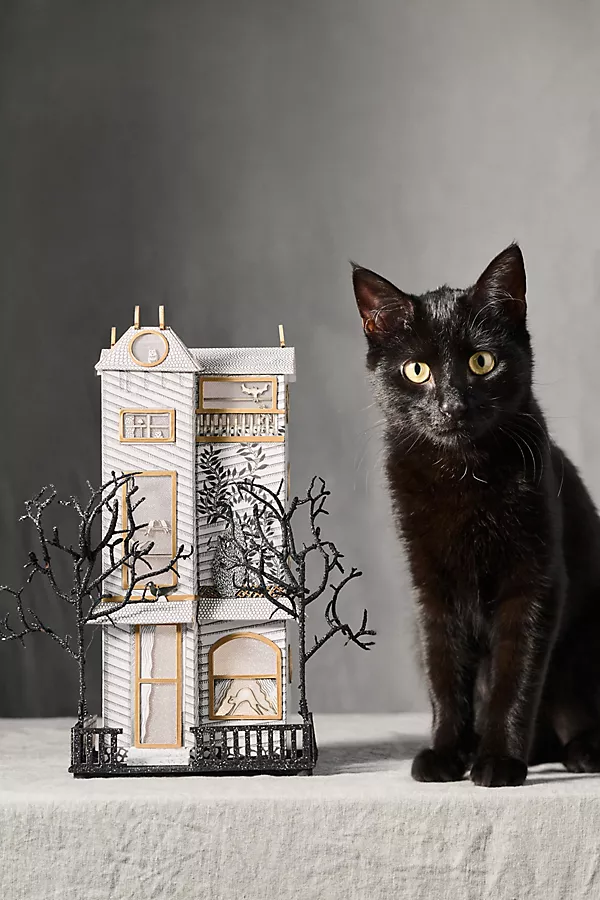Anthropologie Florence Balducci Black Cat Light-Up Paper House White House