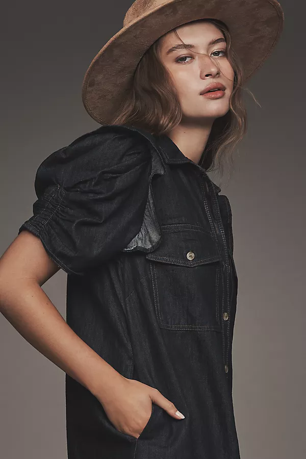 Anthropologie The Ozzi Ruffle-Sleeve Shirtdress By Pilcro Blue