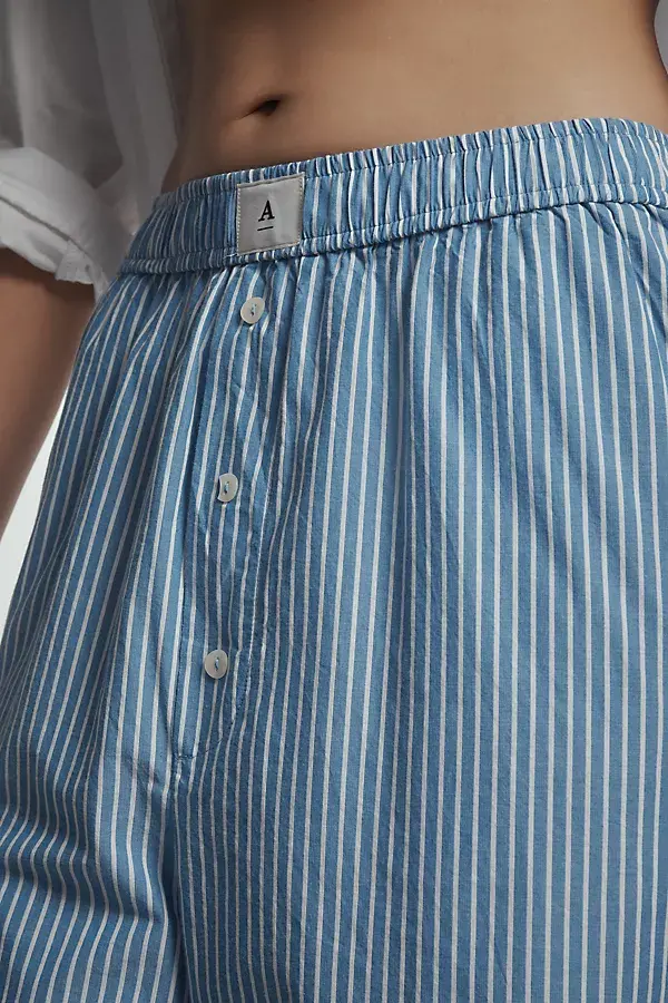 Anthropologie The Wren Boxer Pants Blue & White Stripe