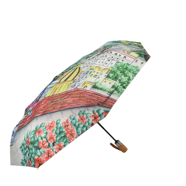 Anuschka Auto Open/ Close Printed Umbrella - 3100