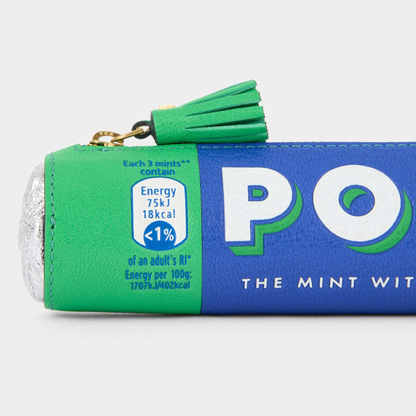 Anya Hindmarch Anya Brands Polo Pencil Case Capra Leather In Aloe Green