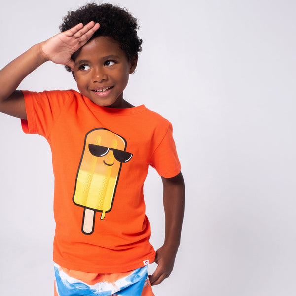 Appaman Swim Trunks Painter's Stripe