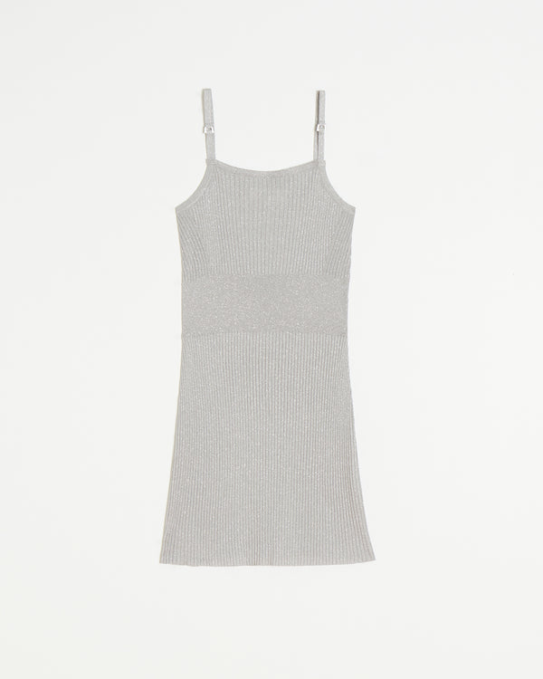 apparis Carter Mini Dress Silver