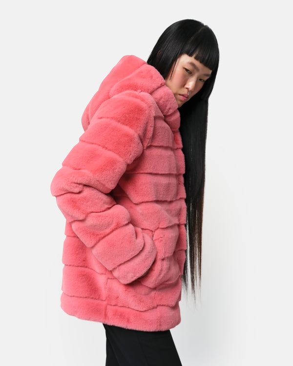 Apparis Goldy Coat Geranium