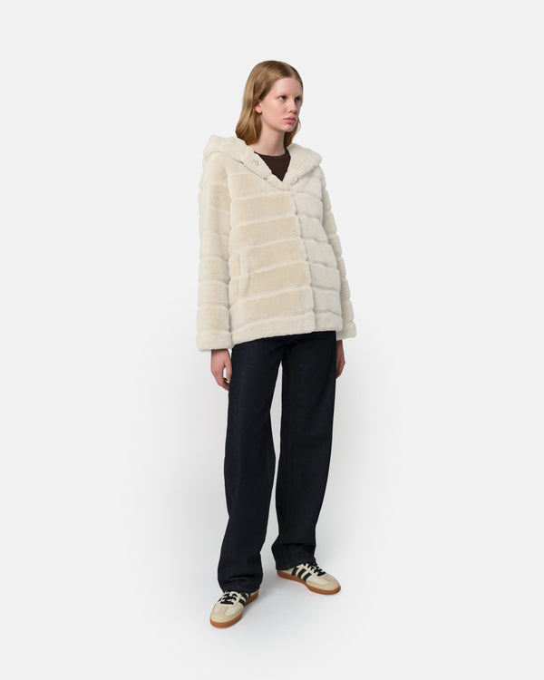 Apparis Goldy Coat Latte