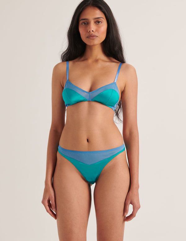 Araks Maya Thong Parrot Parrot