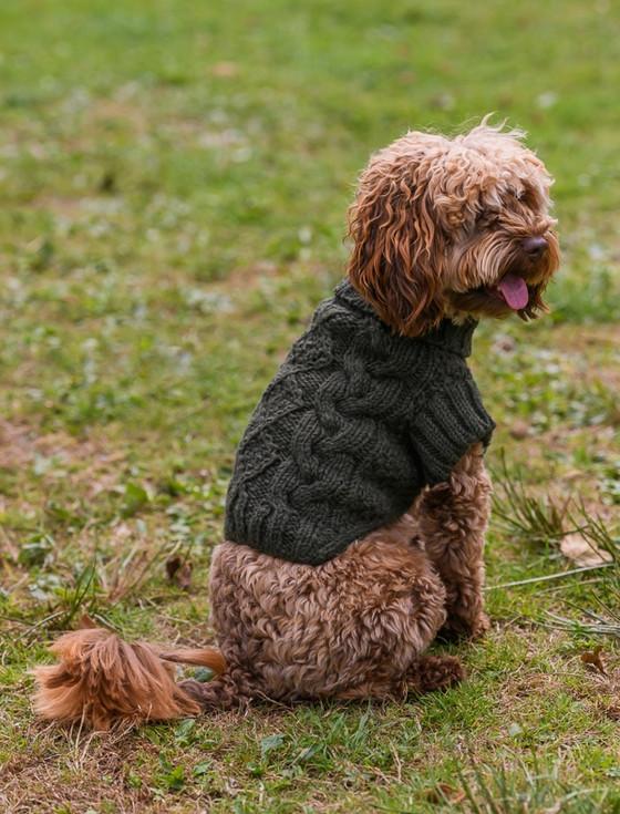 Aran Cashmere Aran Cable & Diamond Dog Sweater