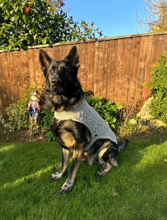 Aran Cashmere Aran Dog Coat