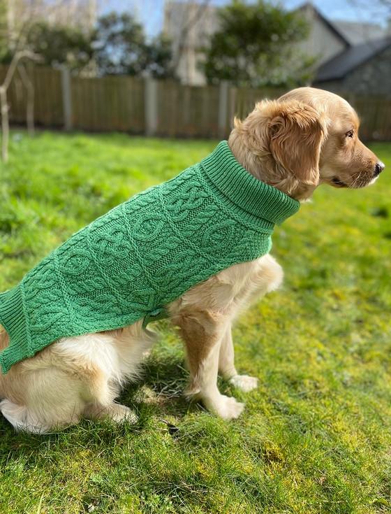 Aran Cashmere Aran Dog Coat