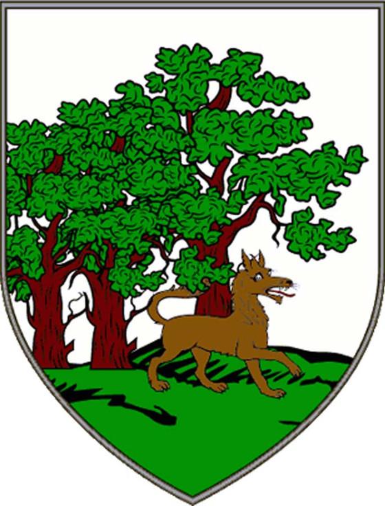 Aran Cashmere Callaghan Clan Sweater