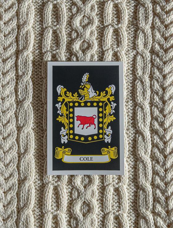 Aran Cashmere Cole Clan Scarf