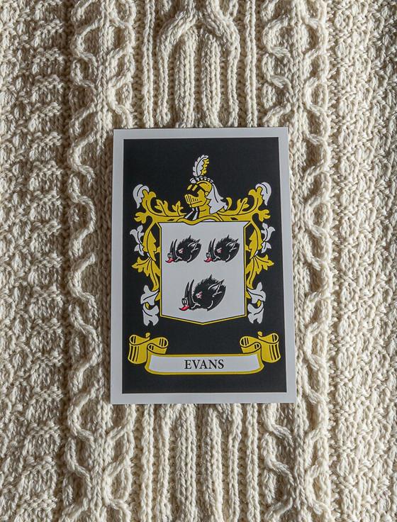 Aran Cashmere Evans Clan Scarf
