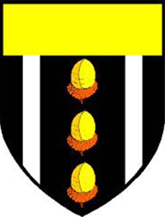 Aran Cashmere Kelleher Clan Sweater