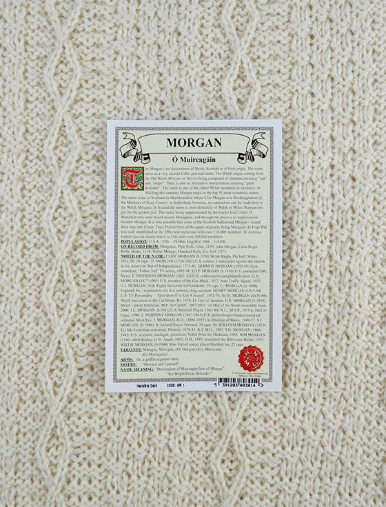 Aran Cashmere Morgan Clan Aran Throw
