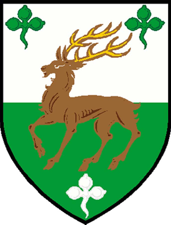 Aran Cashmere O'Connell Clan Sweater